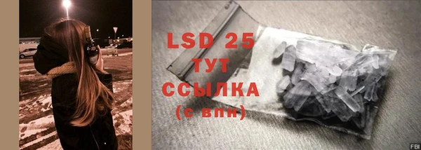 прущие крисы Елизово