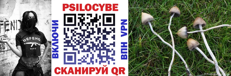 shop наркотические препараты  Зарайск  Галлюциногенные грибы MAGIC MUSHROOMS 